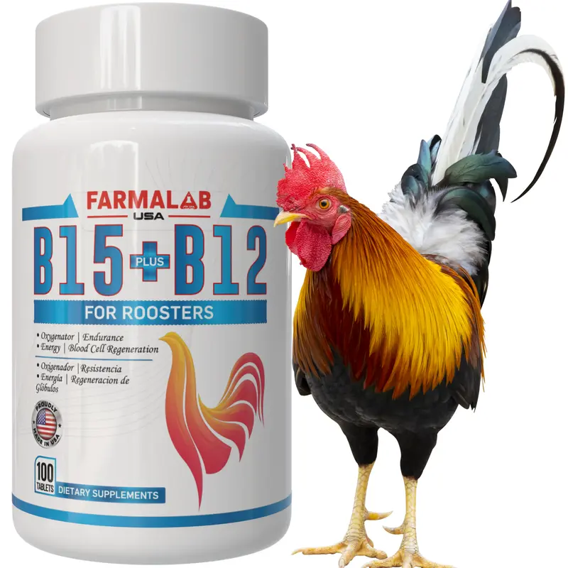 b12 injections for roosters BirdPal Products- Liquid Vitamin B-12 Super Concentrated main image 1