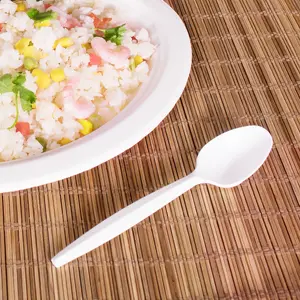 [1,000 ct] PP Plastic Medium-Heavy Weight Tea Spoons Bulk Box, White