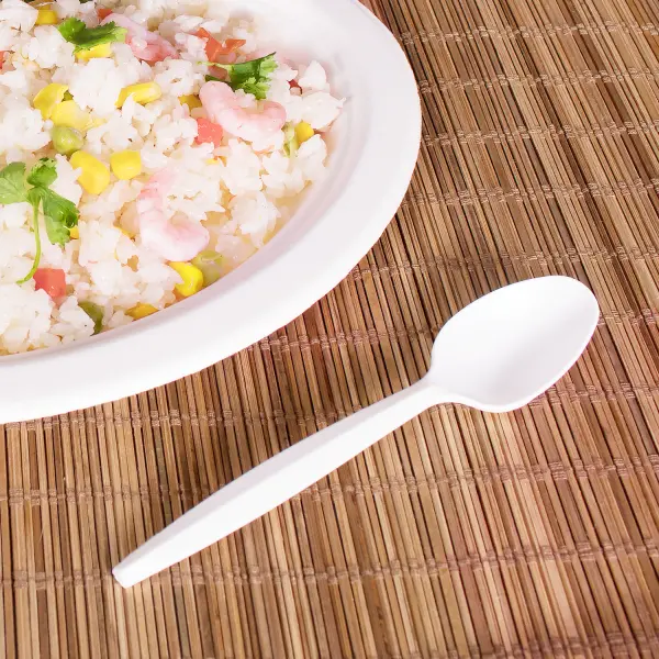 [1,000 ct] PP Plastic Medium-Heavy Weight Tea Spoons Bulk Box, White