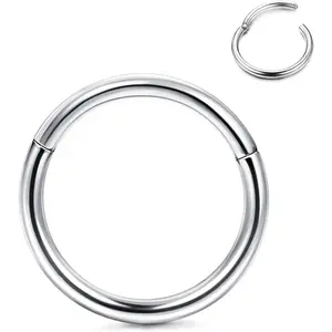 FINREZIO 1-2PCS G23 Titanium Septum Hinged Nose Rings Click Ring Nose Ring Hoops for Lip Helix Tragus Daith Rook Cartilage Lobe Earrings Conch Piercing Jewelry Hypoallergenic Nose Rings for Women Men