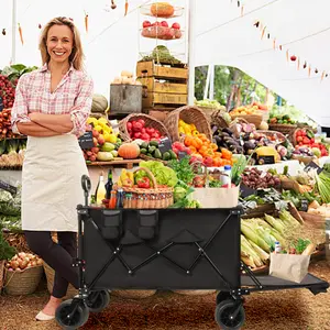 Foldable Beach Wagon with Extended Tailgate – 480 lb Heavy Duty