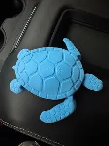 Light Blue Sea Turtle