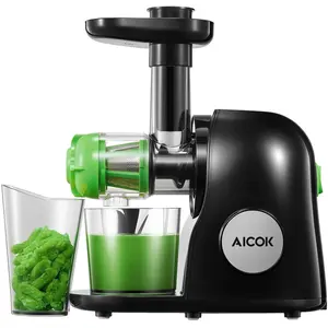 Slow Masticating Juicer