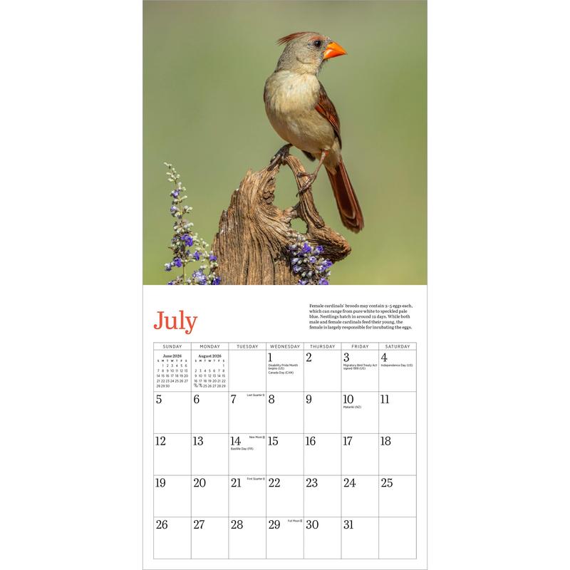 Audubon Cardinals Mini Wall Calendar 2026