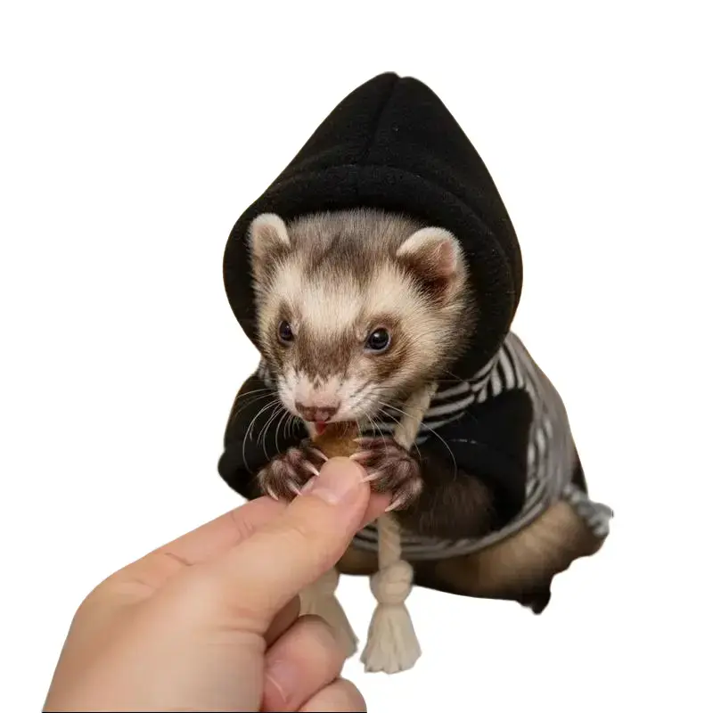 Ferret Fleece Hoodie - Elastic, Cozy, Thick, Soft, Stylish Drawstring Pullover, Winter Warm Pet Clothing for Ferrets (Lizard Design)