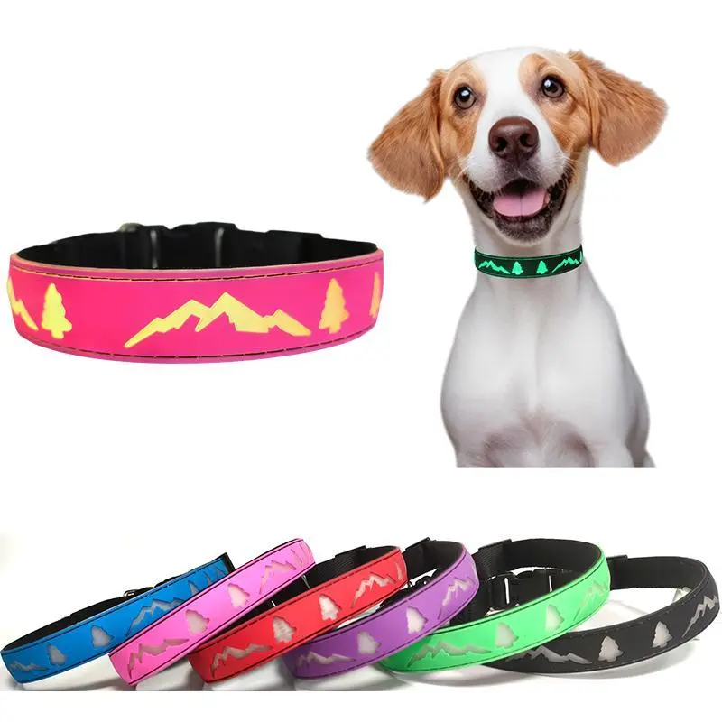 LED Light Up Dog Collar USB-C Rechargeable Multicolor Paw Print Design for Night Safety and Style
