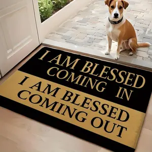 2D Door Mat,Welcome Door Mat Home Decor for Front Door, Kitchen, Bathroom, Blessed Coming Out, Great Gift for Family and Friends.