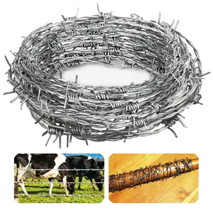 4 Point Barbed Wire, 18 Gauge Real Barb Wire Roll 20 Feet Barbwire for Fence, Baseball Bat, Bird Feeder, Garden & Crafts