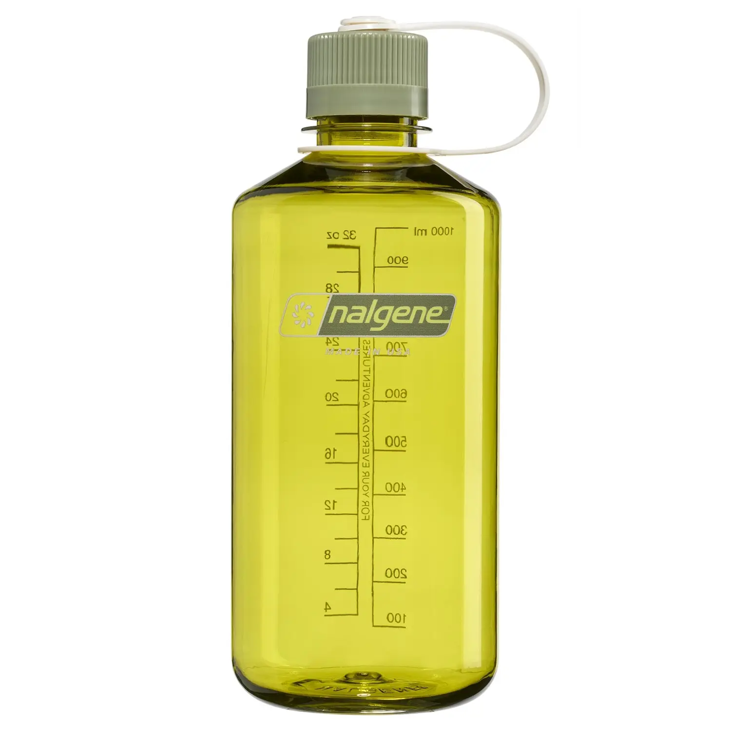 Endive with Oil Green