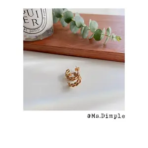 18K Gold Plated Stainless Steel Twisted Small Earrings