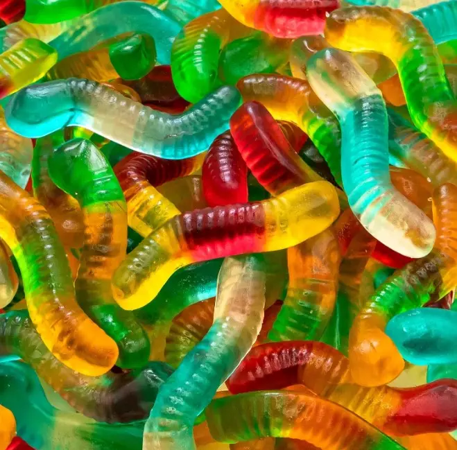 Gummy Worms, Dye Free Candy, Assorted Fruit Gummies, 1 Lb Bag | Beef Gelatin Gummy Candy, Chewy Candy for Goodie Bags and Party Favors