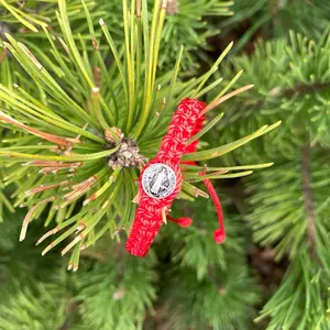 Round Saint Benedict Red String Bracelet with Medal - 6 Inch Nylon Bracelet, Adjustable Closure, Simple Design, Unisex, Casual Accessory