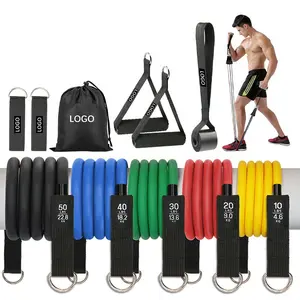 Latex tube tension rope 11-piece set, household men's strength training, chest expansion, tension belt, fitness resistance rope