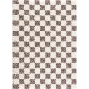 Atira Brown Checkered Area Rug
