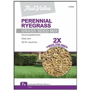 212 MAIN Perennial Rye Grass Seed - Barenbrug USA TV Variety, 7LB Bag, Ideal for Home Garden Use with Coverage Info