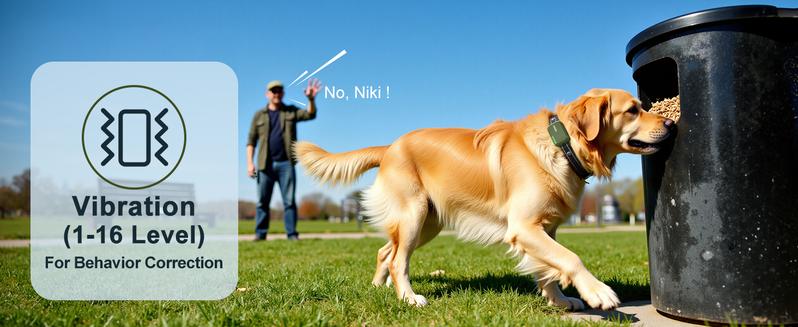 Jugbow Dog Training Collar - 4500FT with Remote, 4 Training Modes, Security Lock, IPX8 Waterproof, Rechargeable e-Collar for All Breeds DT61 Outdoor Jugbow Dog Training Collar - 4500FT with Remote, 4 Training Modes, Security Lock, IPX8 Waterproof, Rechargeable e-Collar for All Breeds DT61 Outdoor