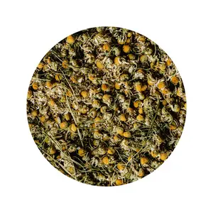 Egyptian Chamomile Tea Beverage Soft Herbal