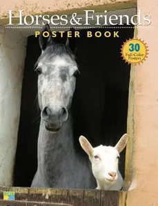 USED-Horses & Friends Poster Book by Langrish, Bob (Paperback)