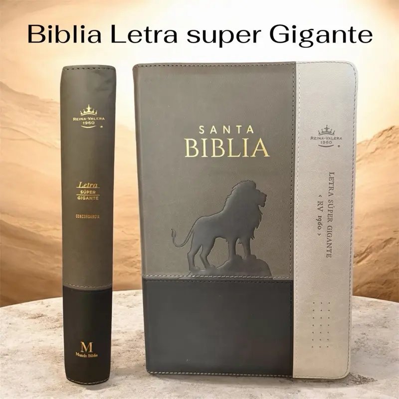 Biblia Reina Valera 1960 color gris y negro  Letra súper gigante con índice y cierre