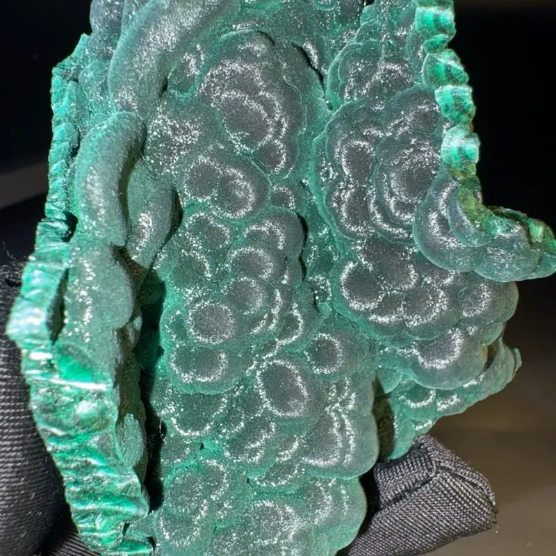 velvet malachite velvet malachite