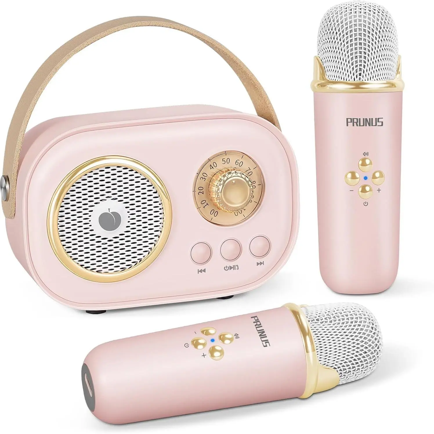 Pink (2 Mics)