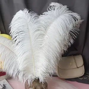 10pcs Feathers 20-25cm Decorative Craft Supplies for Wedding Christmas Halloween Home Decoration Accessories, Party Decor, Wall Hanging Ornament, Room Decoration Ornaments