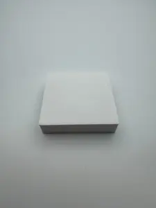 Cap/Cover for Permanent Outdoor LED 90 DEGREE Mount for NON-PRO