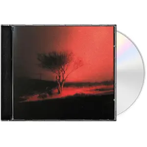 Joji - Piss In The Wind  [COMPACT DISC - CD] Explicit