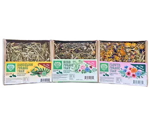 Forage Tray Bundle