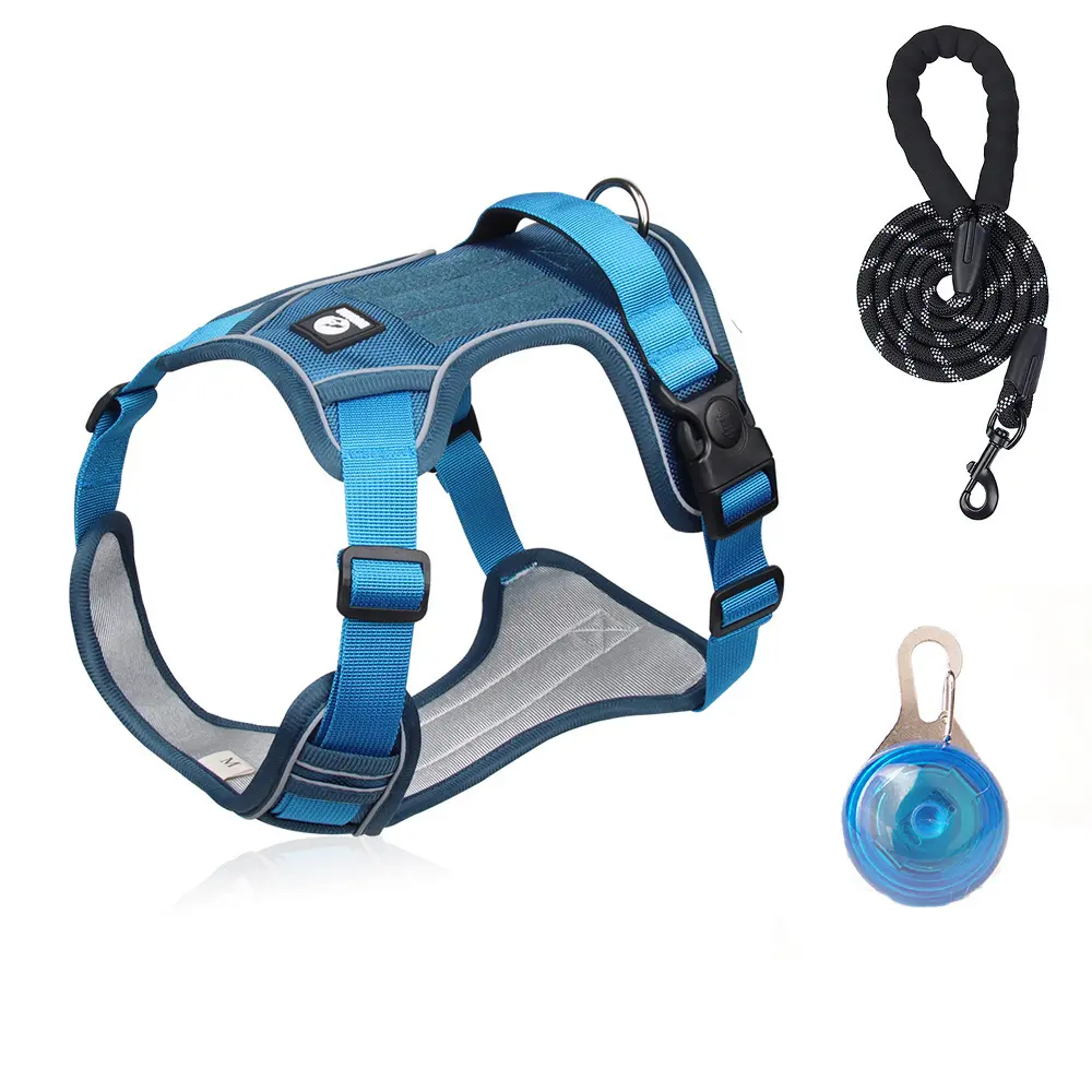 Lake blue Harness+1.5m reflective round rope+LED