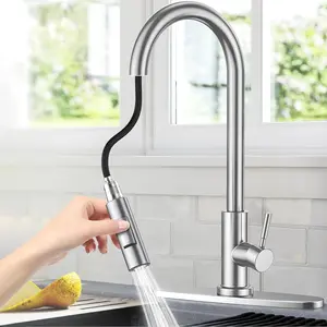Kitchen Sink Faucet with Pull-Out Shower Head, Stainless Steel, Detachable Base, 360° Rotation, Two Water Modes, Pewter Finish, Stainless Steel Tap, Modern Kitchen Faucet