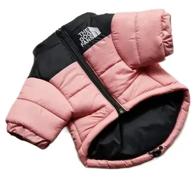 Ross Carhartt Dog TikTok Shop - Main Image