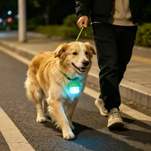 LED  night Mushroom Safety Light for Pets, Durable Waterproof Collar Pendant, Keep Dogs & Cats Visible at night  , Multi-Use Outdoor Light for  Walks, Hiking & Cycling Safety light for pets, backpack light, bike light, outdoor safety charm Leash