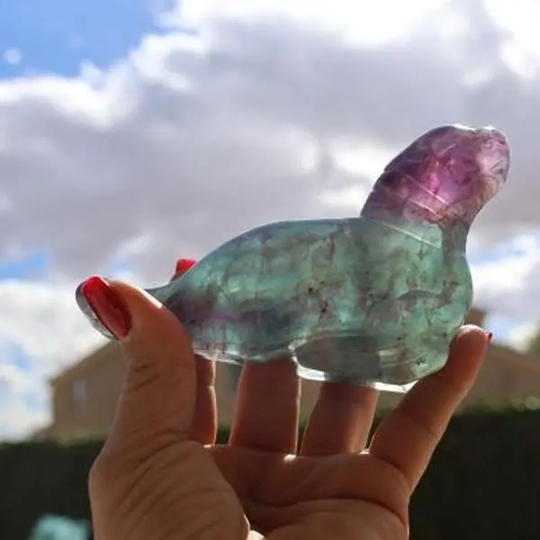Fluorite Crystal Seal