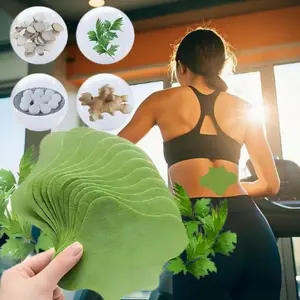 Moxa 48 Mugwort Self-Heating Patches - Pure Natural Herbal Medicine for Shoulder, Knee, Foot, Back, Neck, Daily Replacement