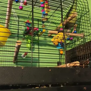 Bird Toy Set, 9 Counts/set Colorful Bird Chew Toy, Bird Cage Accessories, Pet Supplies for Parrot, Cockatiel, Lovebird, Canary