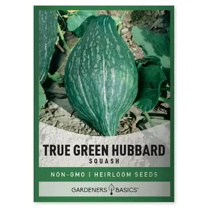 True Green Hubbard Squash Seeds