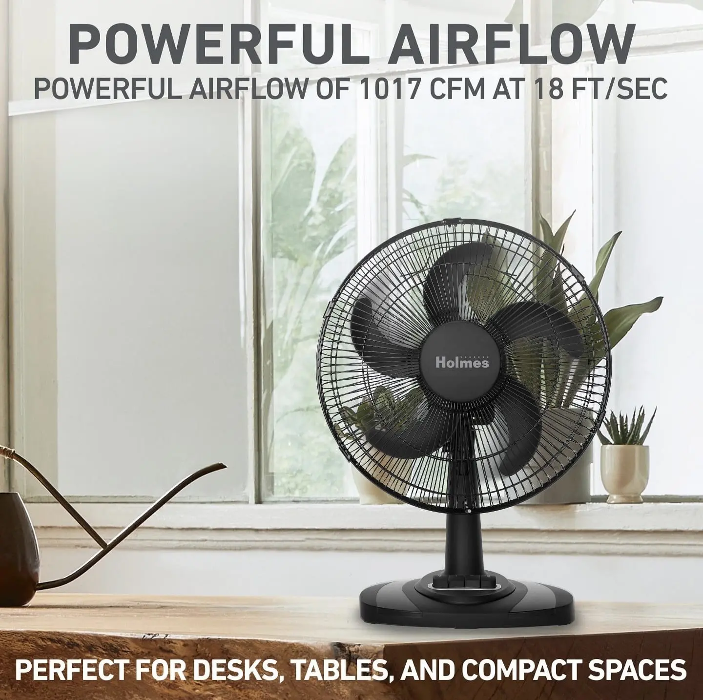 HOLMES 12 Table Breeze Oscillating, 3 Speeds, Ideal for Home, Bedroom or Office, fan black