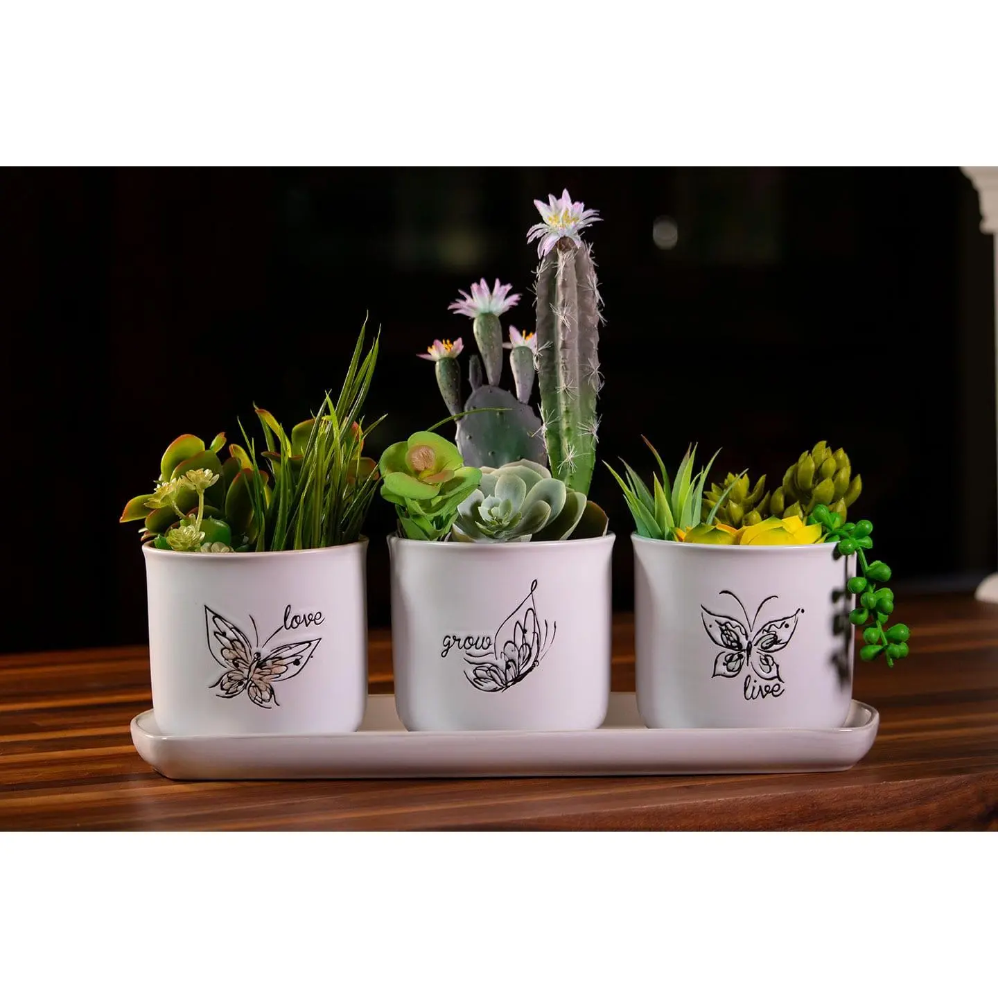 Landry Butterfly Set of 4" Planters W/ Tray