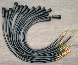 Male Pigtails