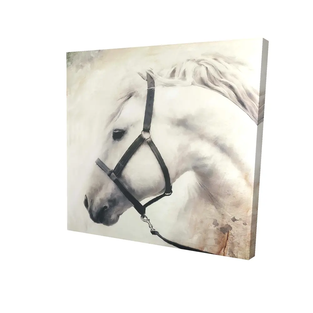 212 MAIN Darius the White Horse Vibrant Farm-Themed Wall Art - 24x24 in. Farm Animal Print, Artistic Photo Poster for Home Decoration, Home Supplies, Farm-Themed Wall Arts