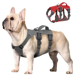 Didog Escape Proof Dog Harness for Small Medium Large Dogs- Reflective, No Pull with Padded Handle, Waterproof for Daily Walking & Training
