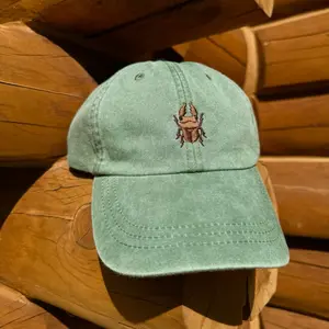 Beetle Embroidered Cap