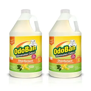 Disinfectant Concentrate and Odor Eliminator, 2 Gallons, Citrus Scent