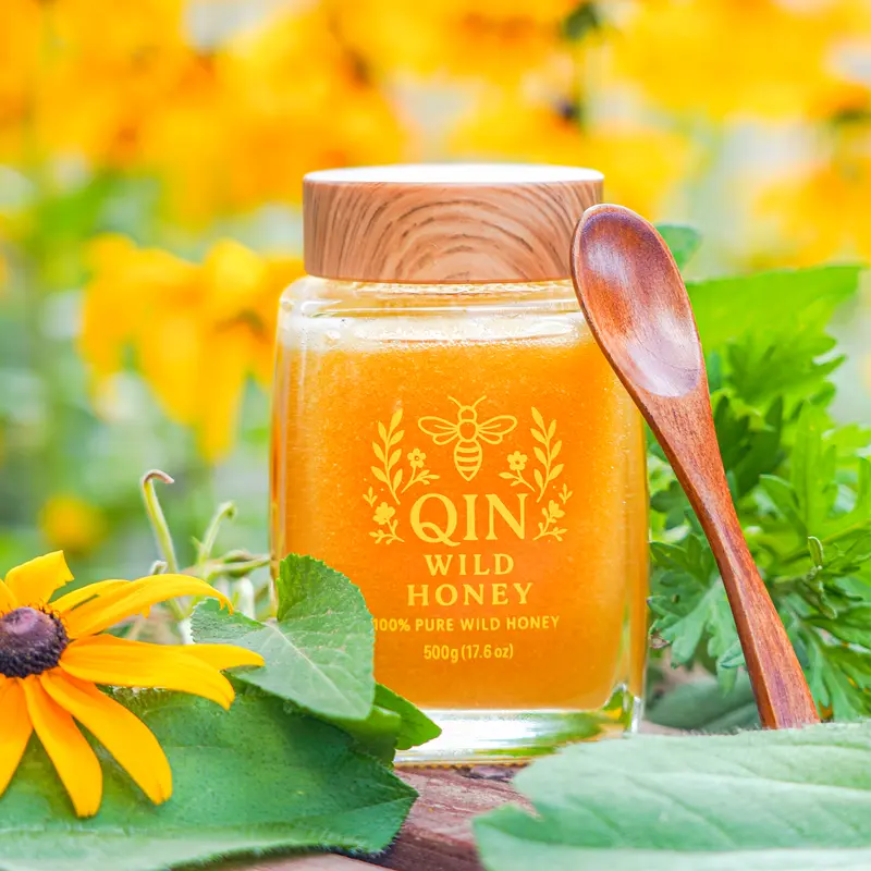 Qinling Forest Wild Raw Honey 100% Organic 500g 17.6 oz per Jar Manuka Tallow Maple Syrup Vegan Maple Syrup