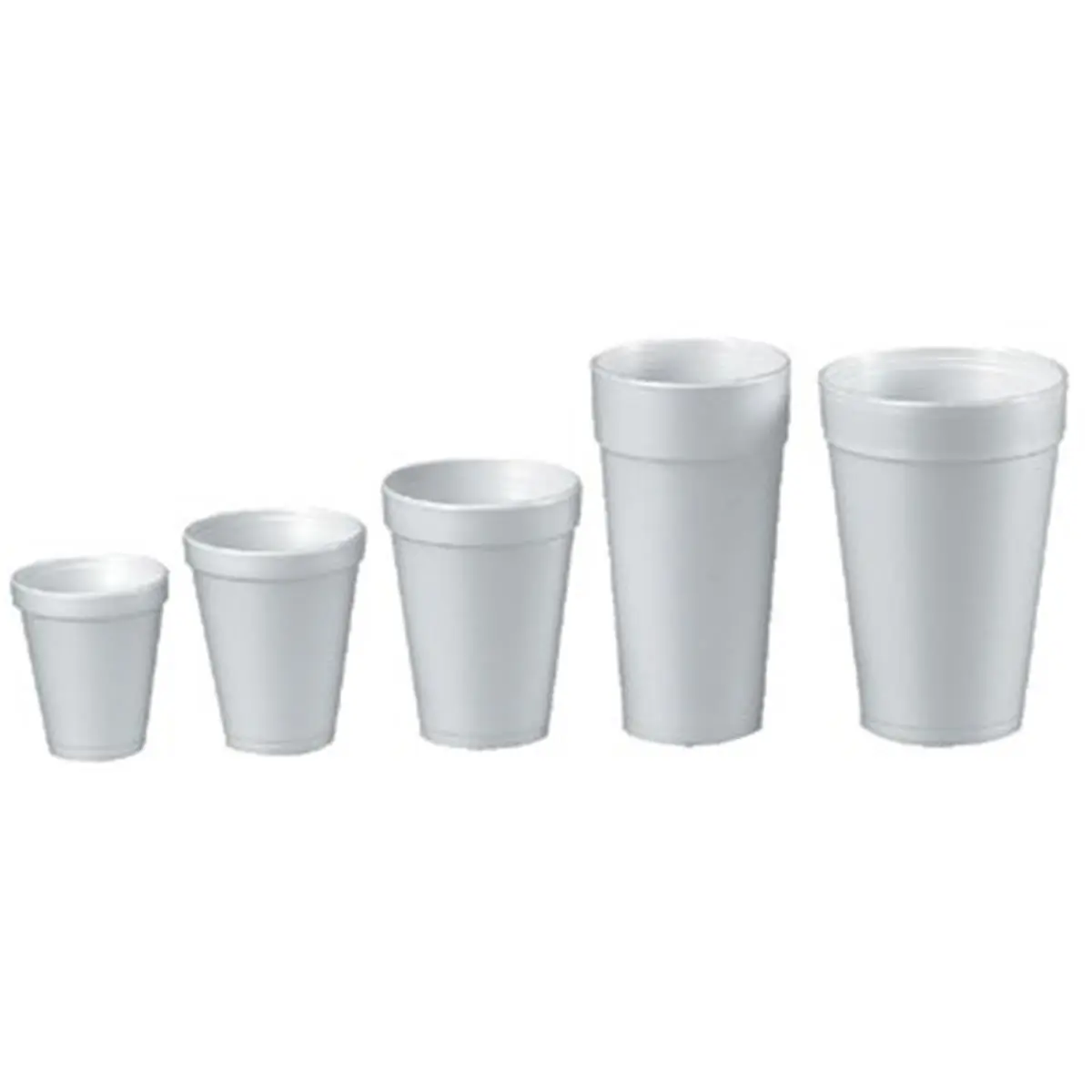 212 MAIN Disposable Insulated 8oz Styrofoam Cups - Case of 1000 (24-40's), Hot Drink Party Supplies for Home & Festive Occasions