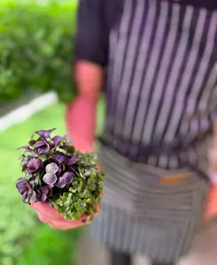 Complete Microgreen Kit