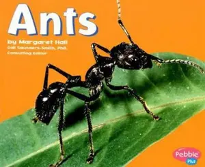 USED-Ants (Pebble Plus; Bugs, Bugs, Bugs) by Margaret Hall (Paperback)