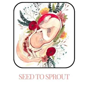 Seed toSprout Conception Planning Journal - Personalized Pregnancy Digital Notebook