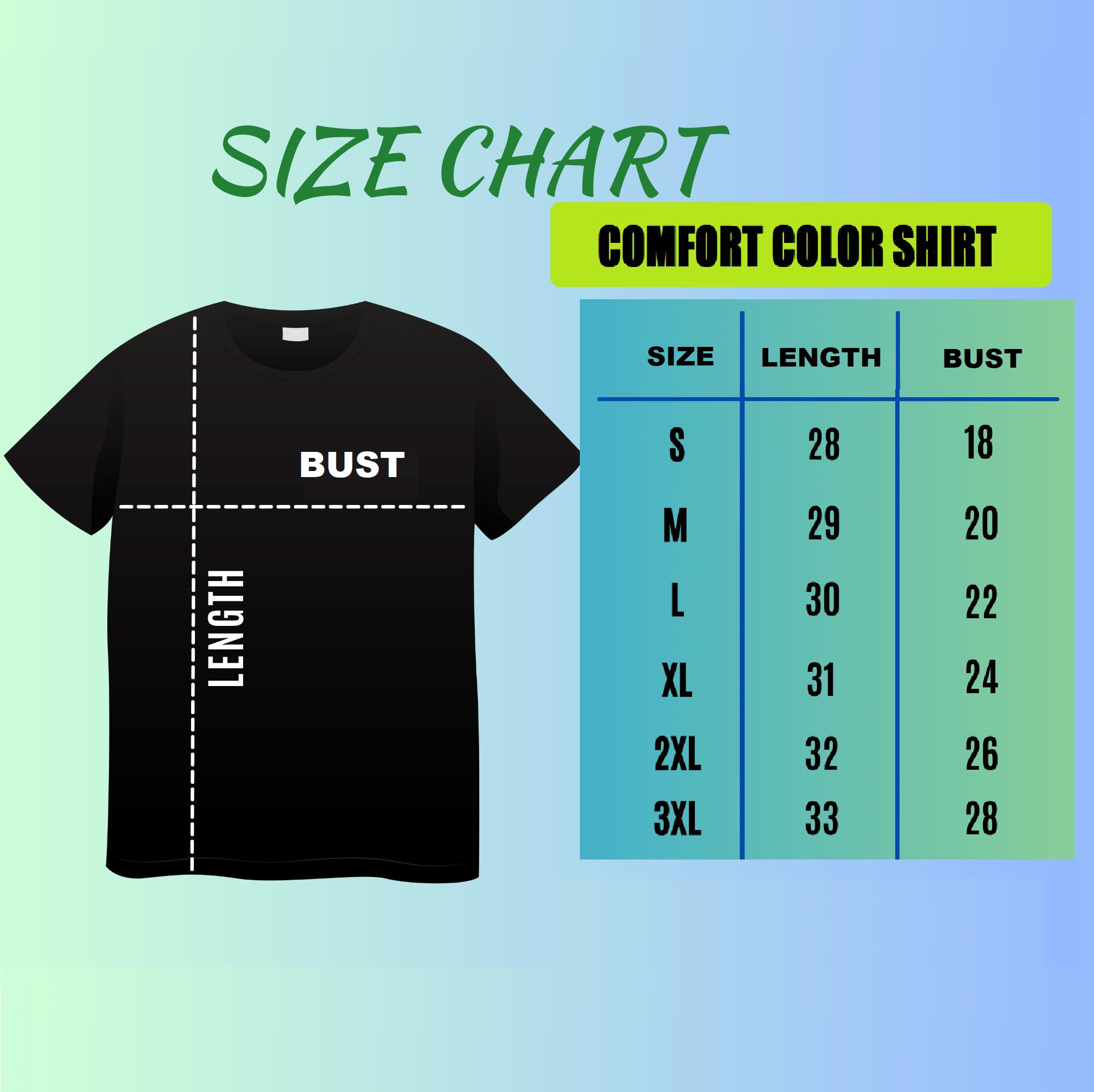 Comfort Colors  Protect The Dolls Tshirt, Trans Rights  Lgbtq Pride